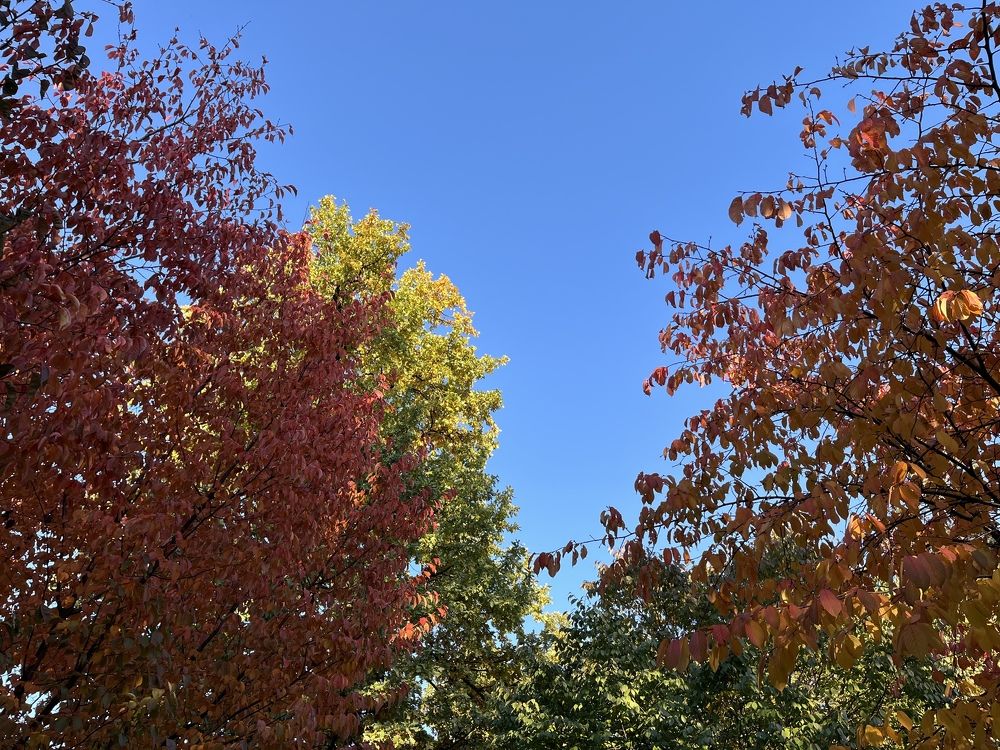 Photograph by Болдырева Ольга