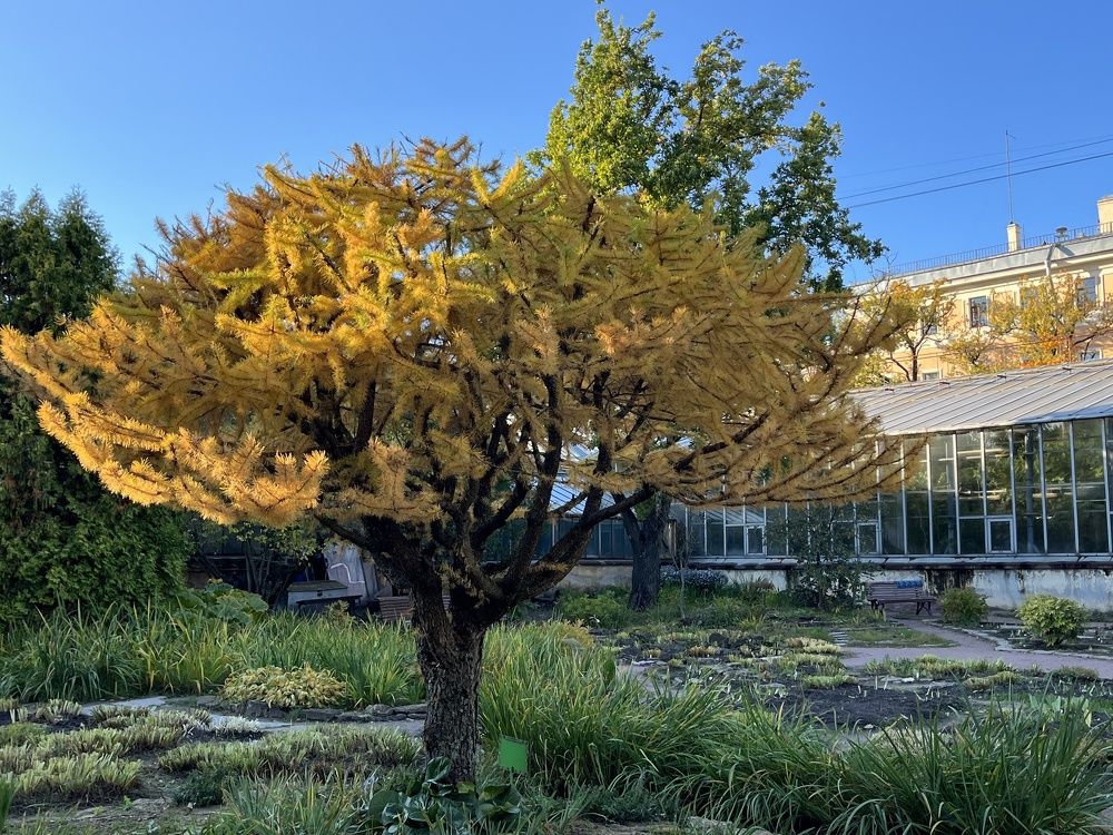 Photograph by Болдырева Ольга