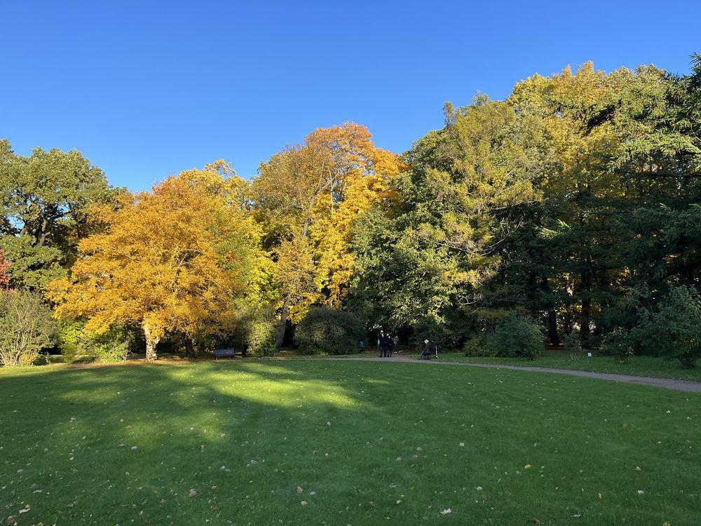 Photograph by Болдырева Ольга