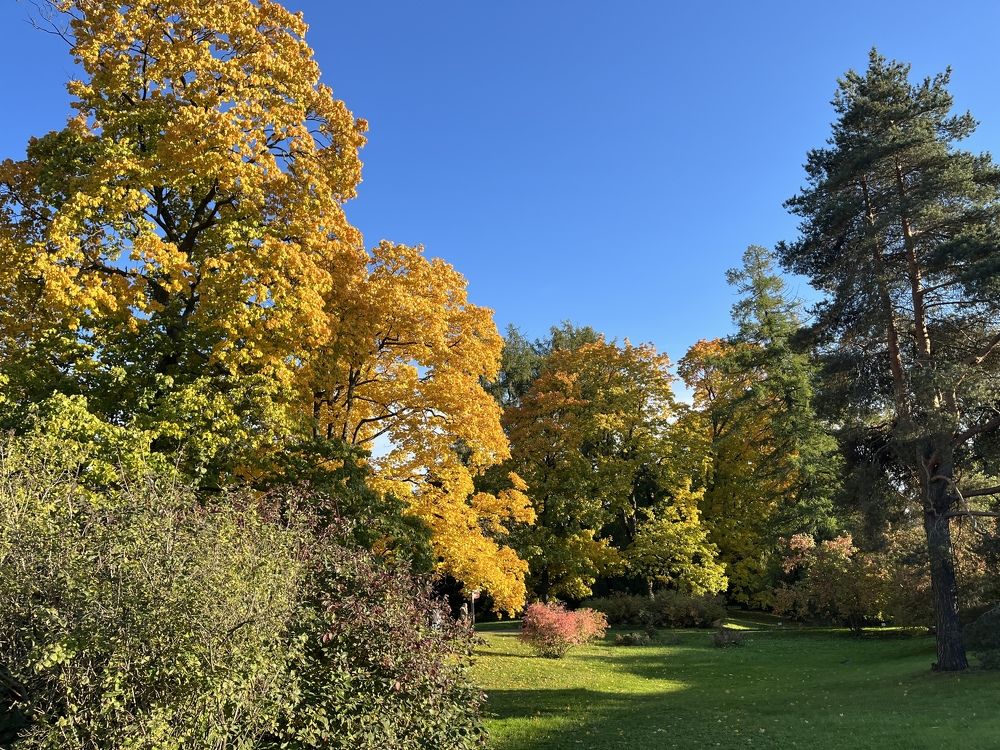 Photograph by Болдырева Ольга