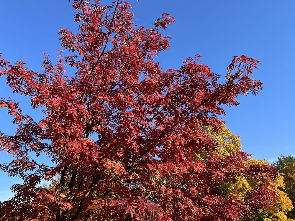 Photograph by Болдырева Ольга