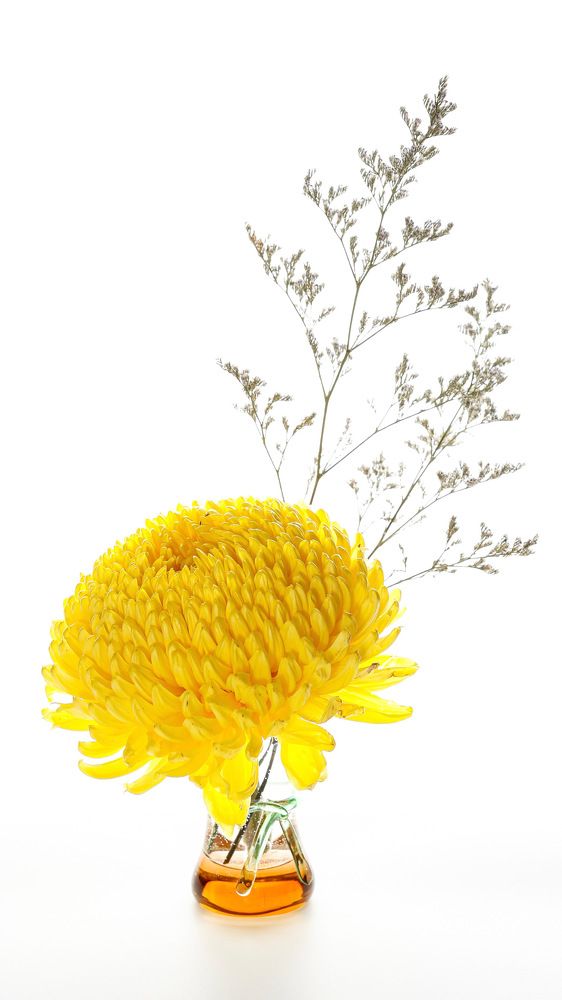 Photograph by Елена Ломова