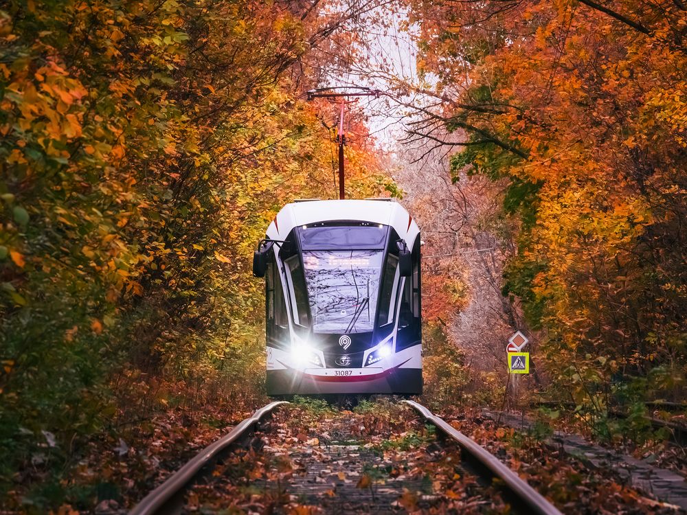 Photograph by Олег Милеев (Каминцев)