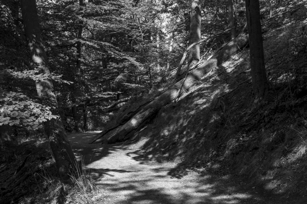 Photograph by Бурняшев