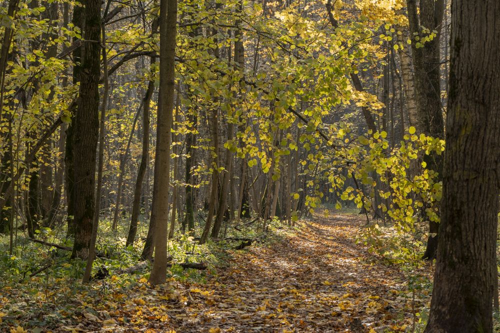 Photograph by Бурняшев