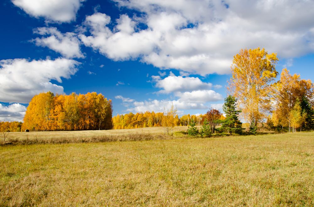 Photograph by Галина