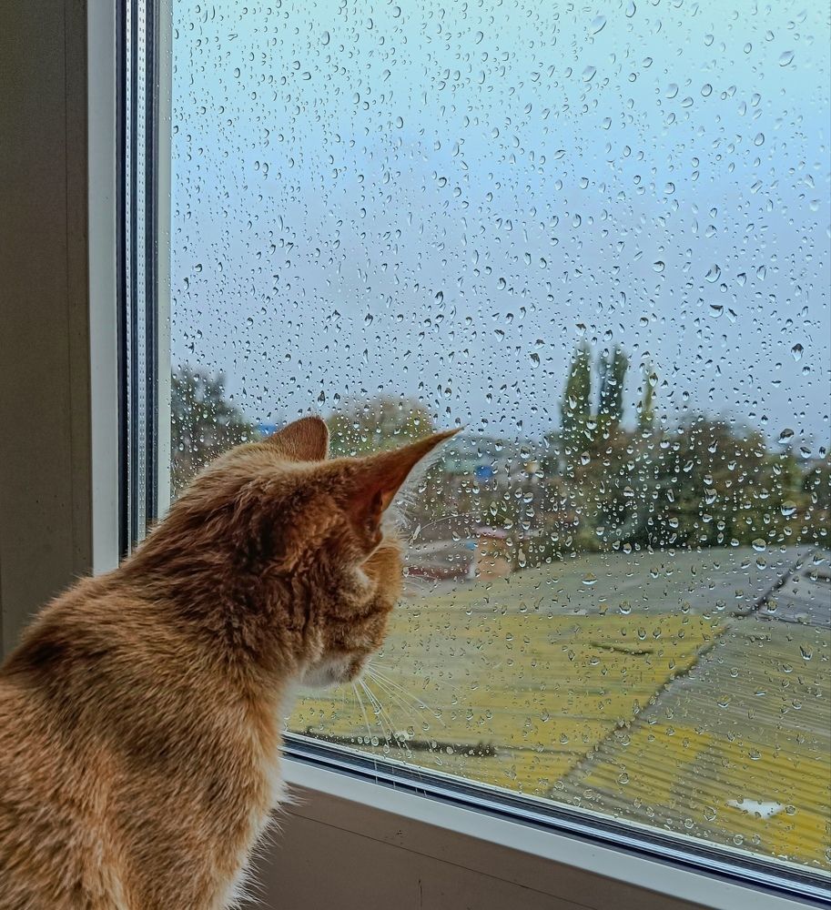 Фотография автора Светлана Анатольевна Чернышова