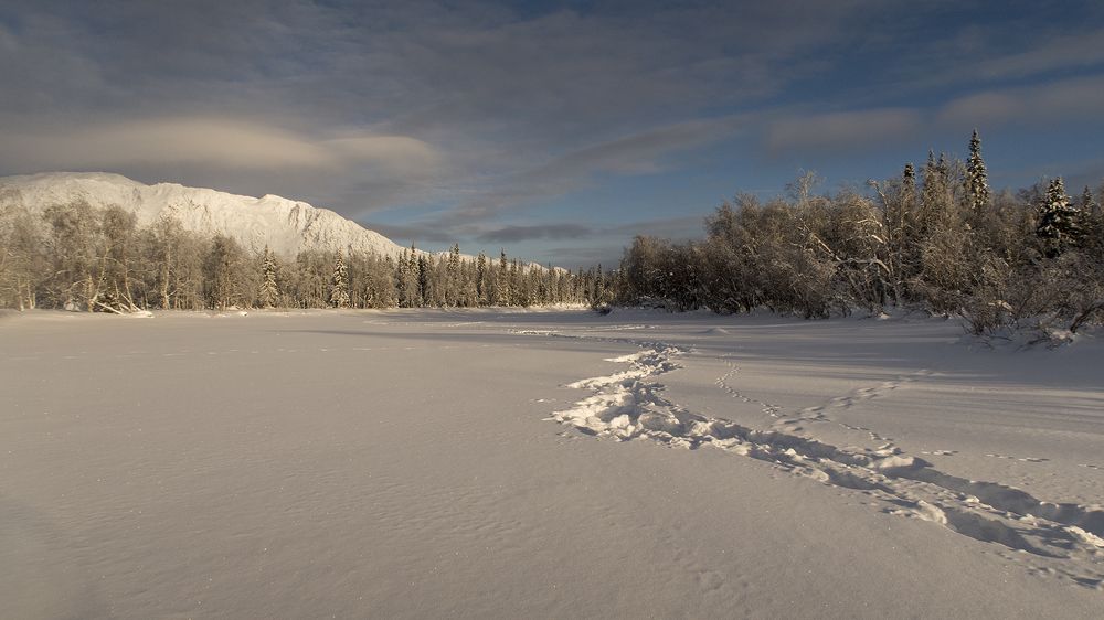 Photograph by Сергей Фомин