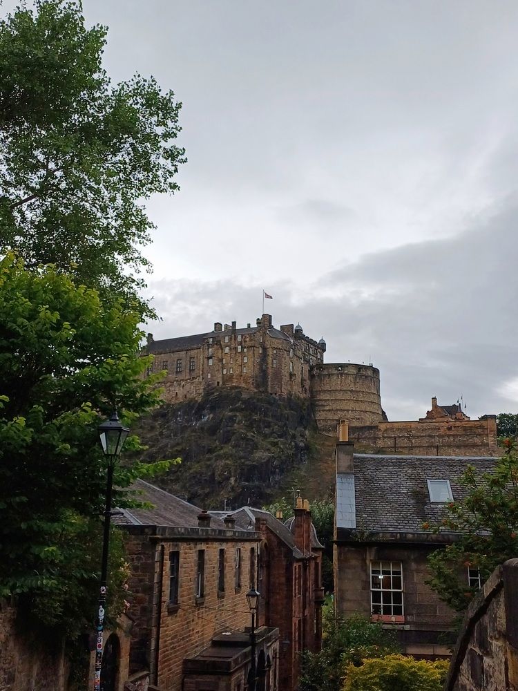 Photo #11234651