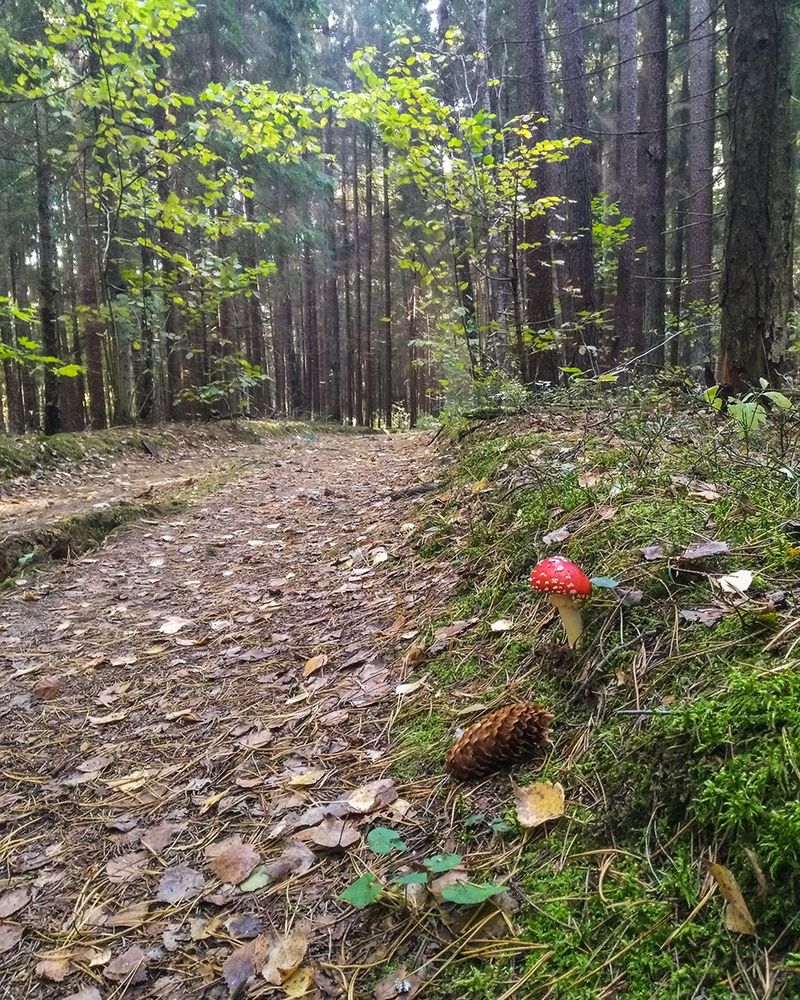Фотография автора Борис Журавлёв
