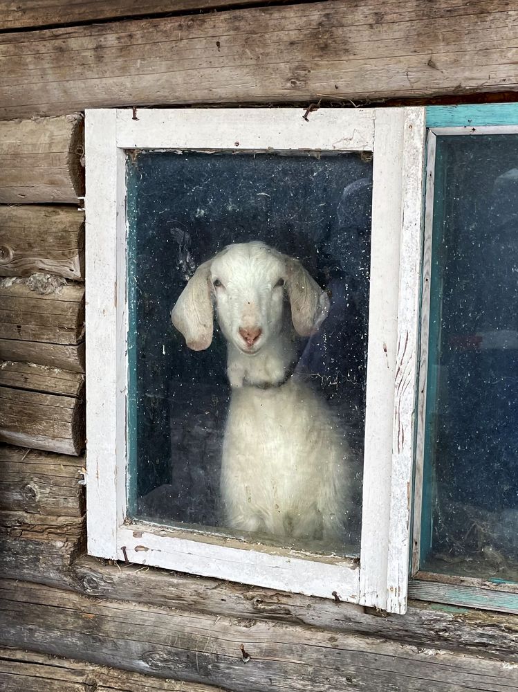 Photograph by Валерия Трейтяк