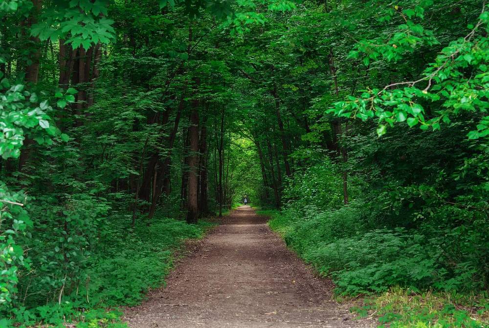 Photograph by Олег Милеев (Каминцев)