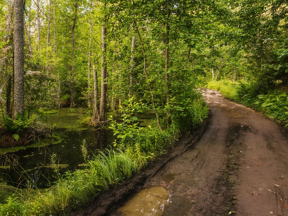 Photograph by Олег Милеев (Каминцев)