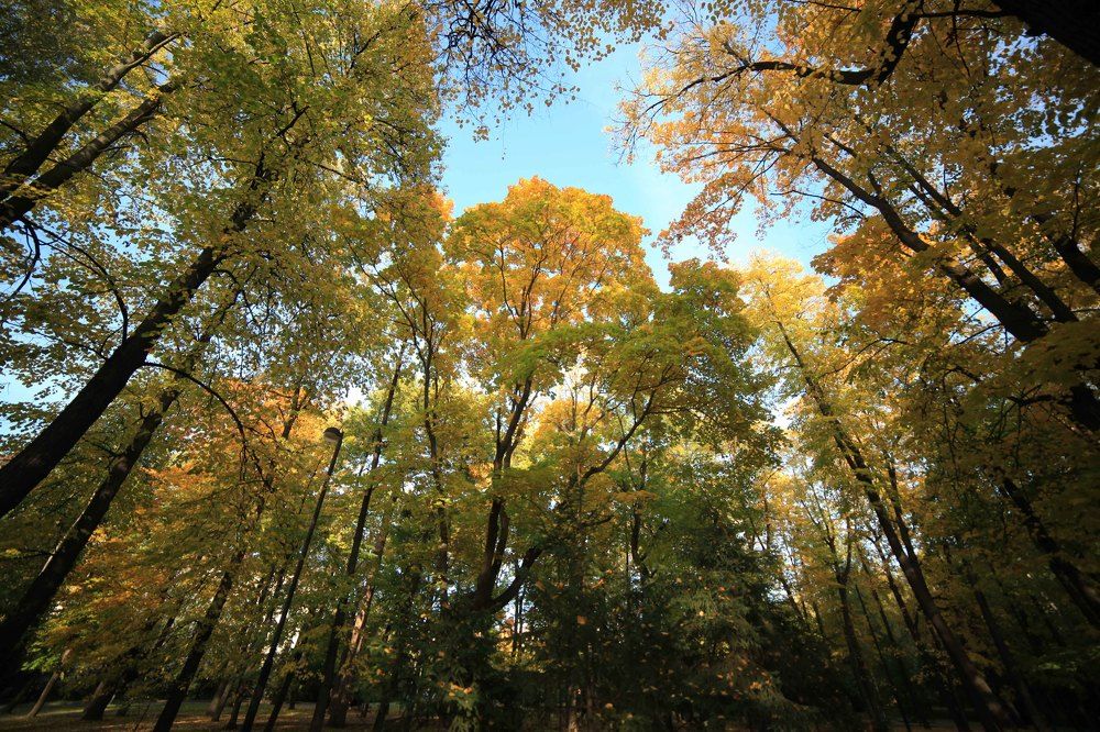 Photograph by Светлана Кавказская