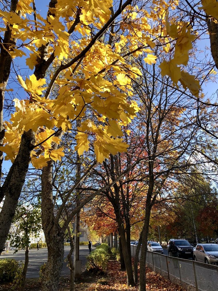 Photograph by Олеся Семёнова