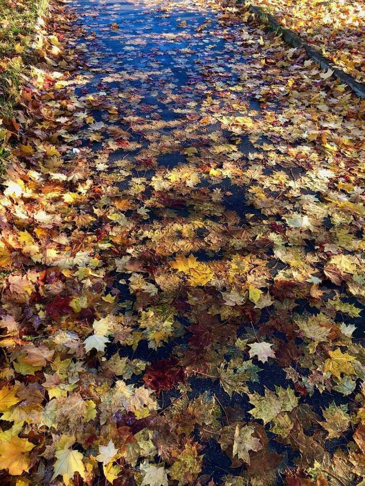 Photograph by Олеся Семёнова