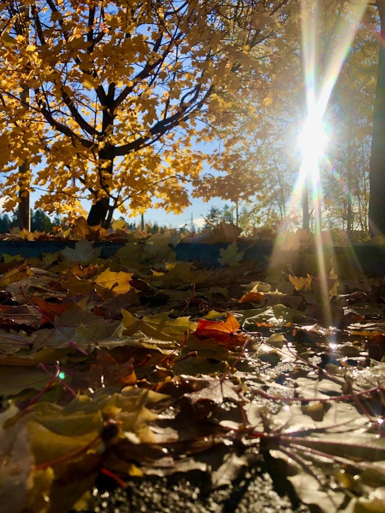 Photograph by Олеся Семёнова