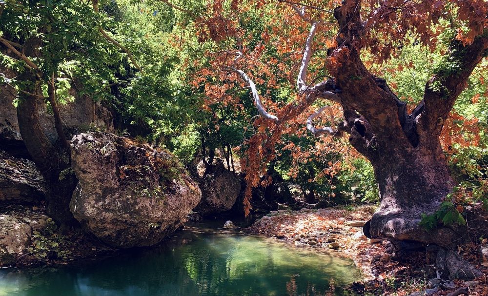 Осень у ручья Казыклы