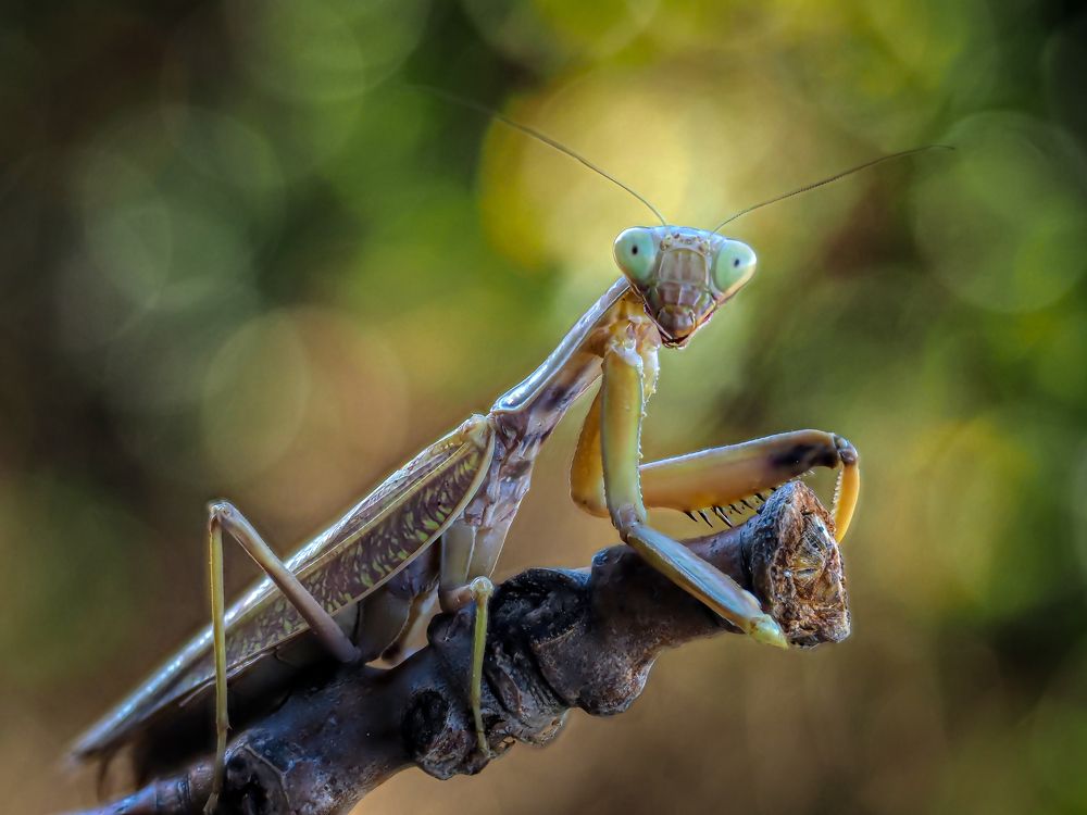 Photograph by Олег Савицкий