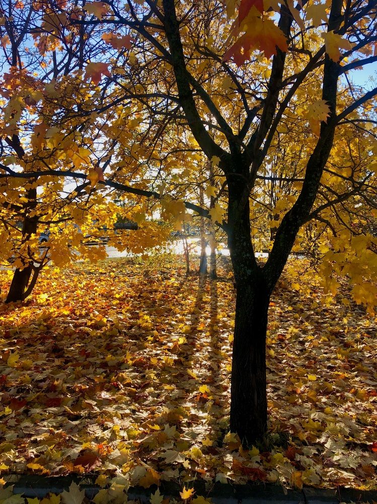 Photograph by Олеся Семёнова