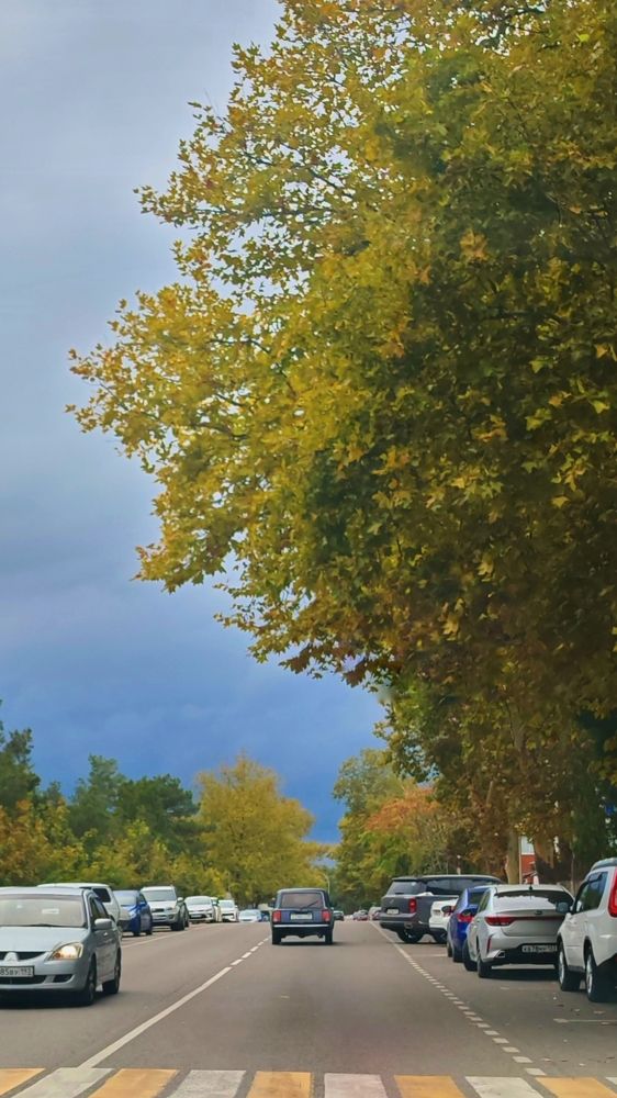 Photograph by Регина Джумалиева