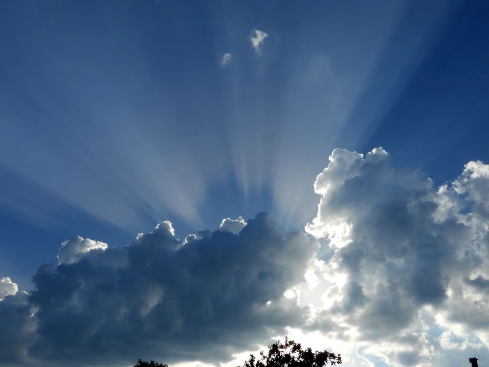 Photograph by Александр Шаварин