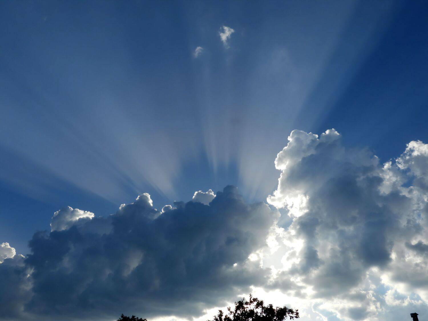 Photo #11234832