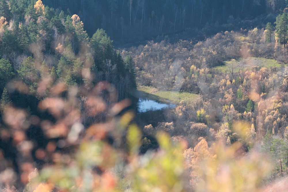 Фотография автора Галина Аверьянова