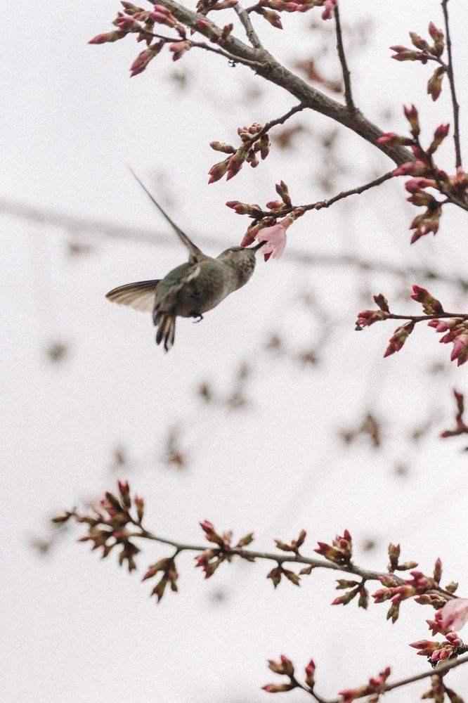 Photograph by Anna Vlasova