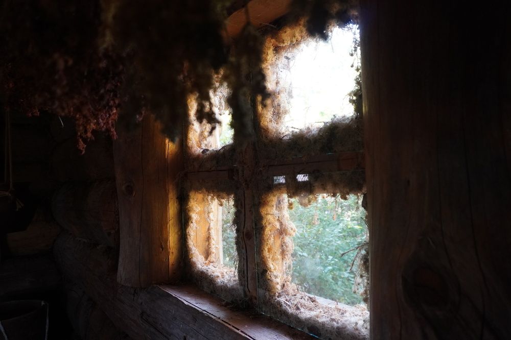 Photograph by Алфия Бугакова