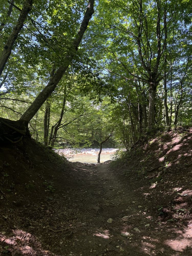 Photograph by Елена Громова