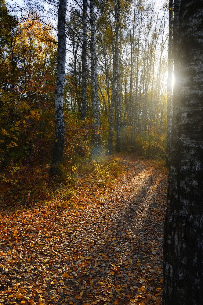 Photograph by Алексей Парамонов