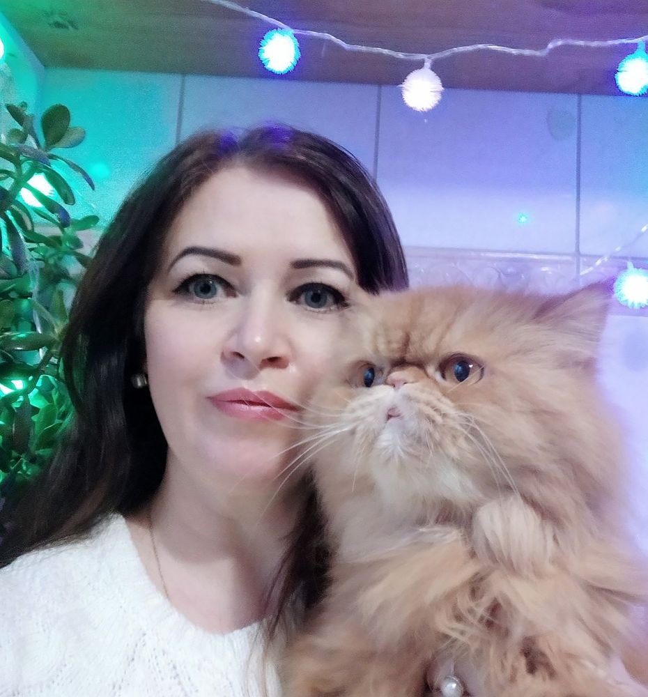 Домашние любимцы