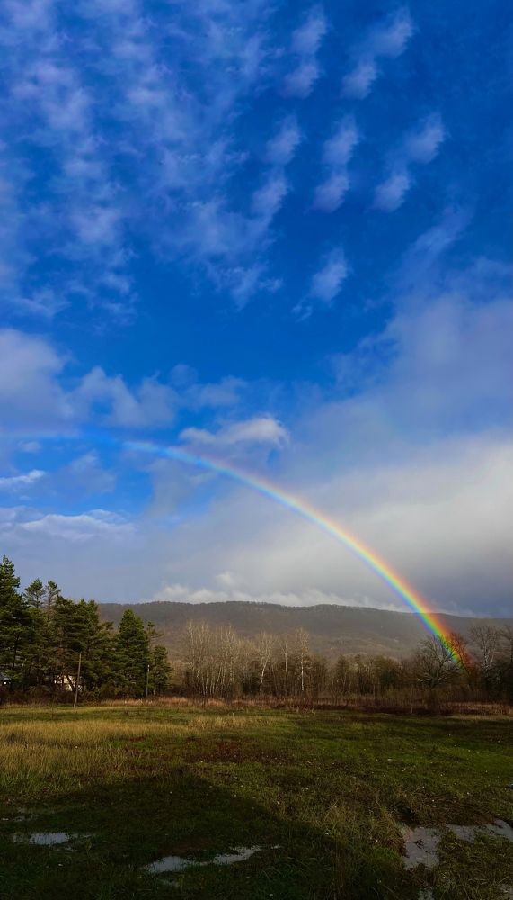 Photograph by Елена Громова