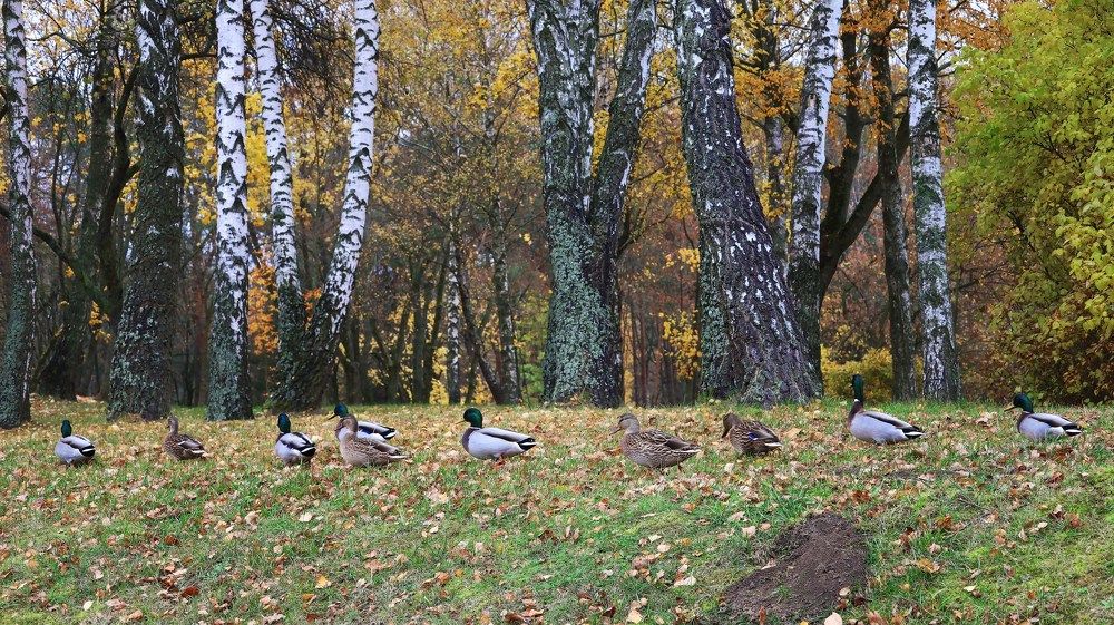 Photograph by Наталья Котько