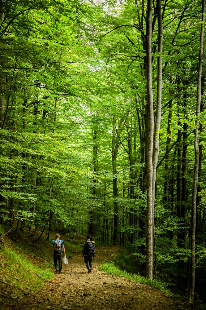 Фотография автора Ivelina Petkova