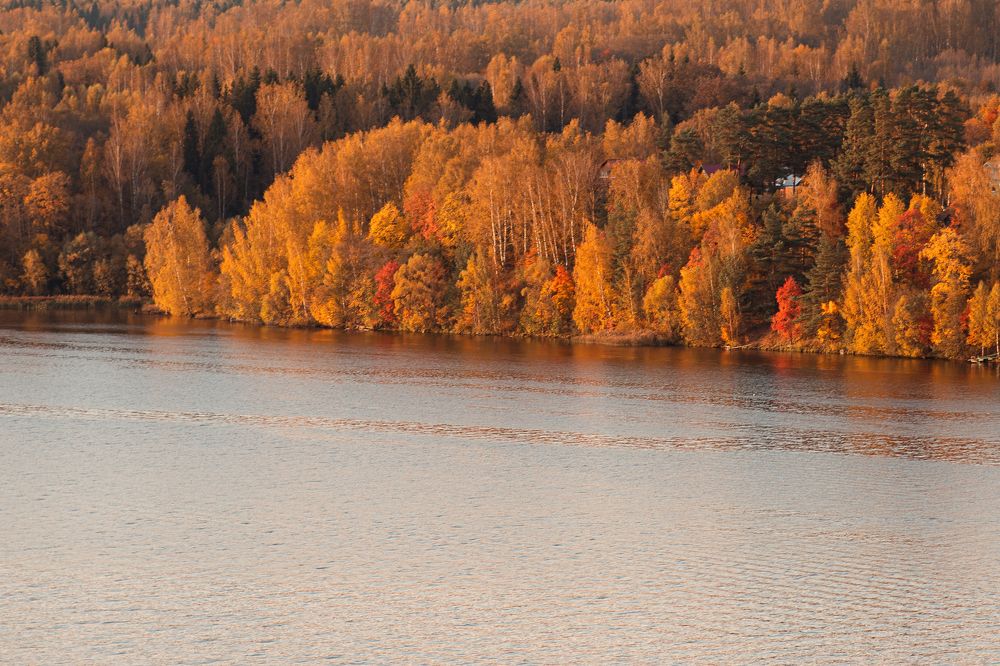 Photograph by Алла Аюпова