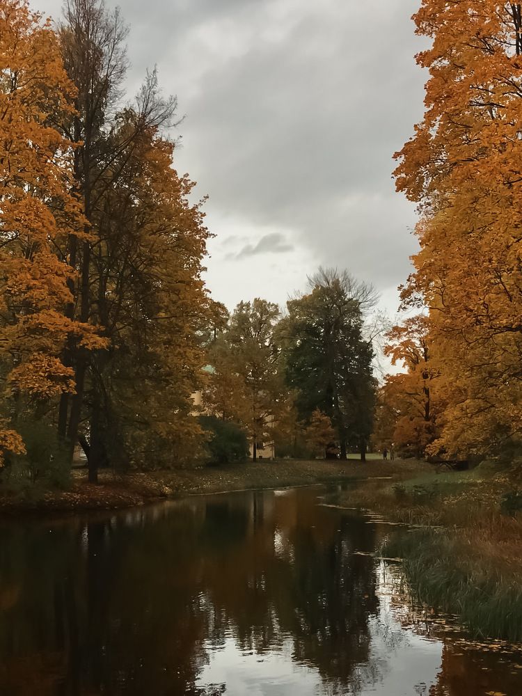 Фотография автора Наталия