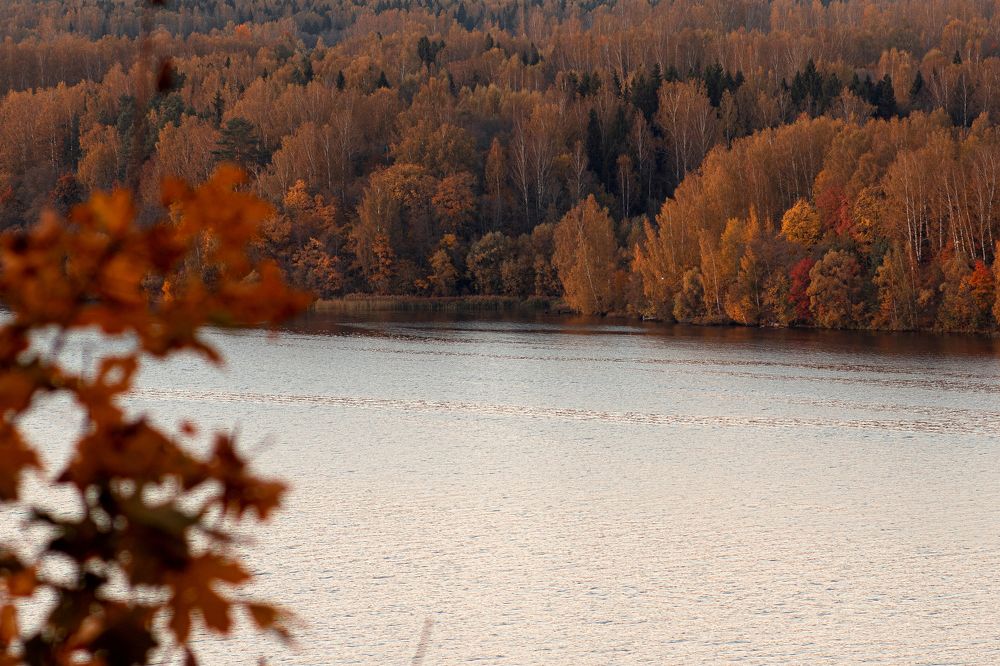 Photograph by Алла Аюпова