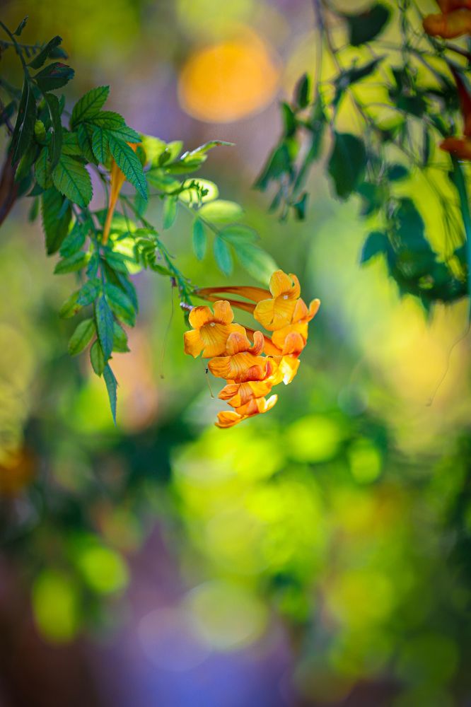 Photograph by Игорь Толкачев