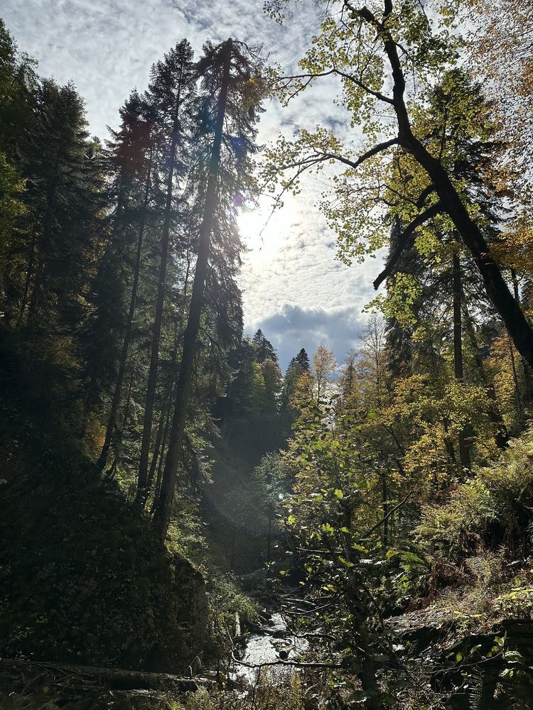 Photograph by Ольга Байгажакова