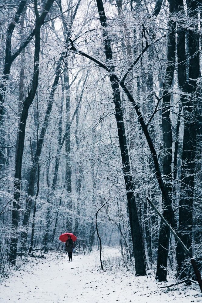 Фотография автора Ivelina Petkova