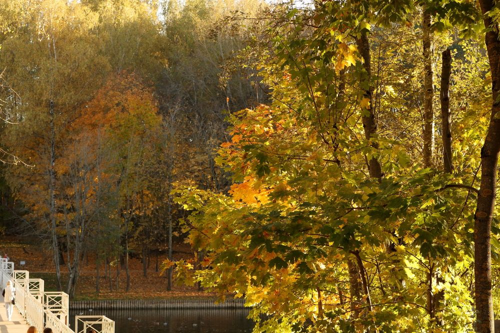 Photograph by Галина Трофимова