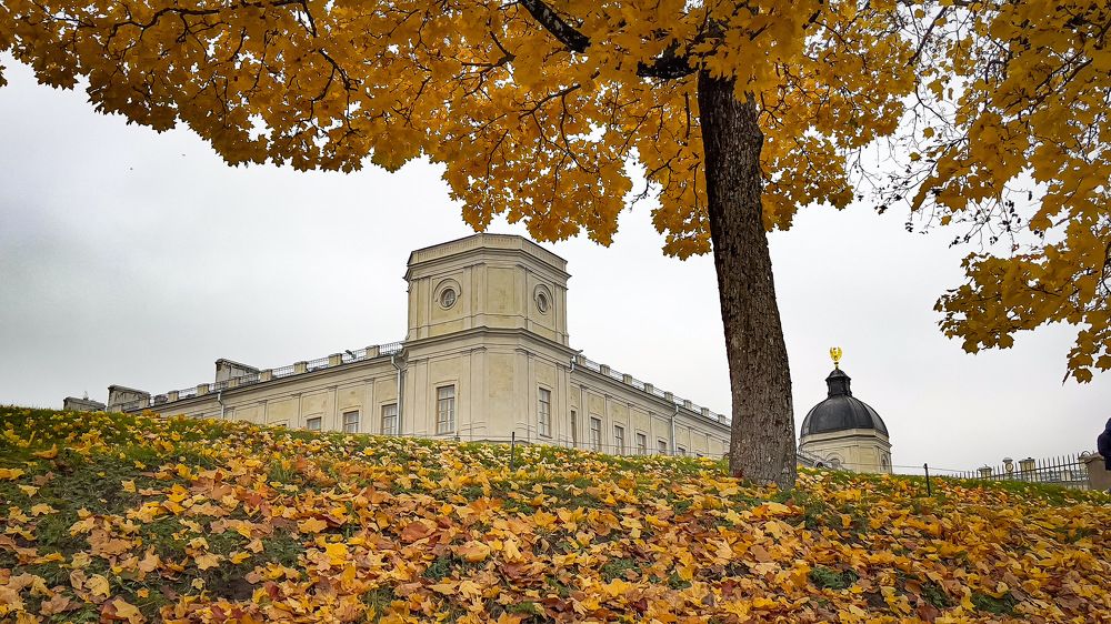 Фотография автора Sergey Sokolovsky