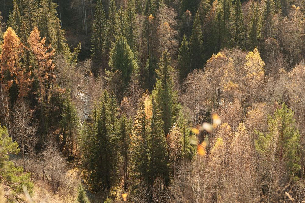 Фотография автора Галина Аверьянова