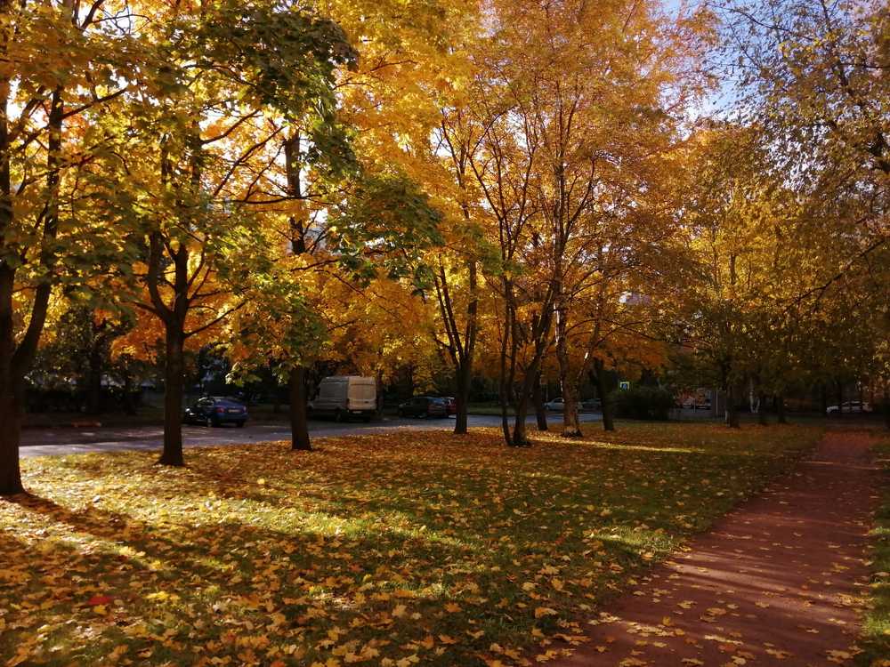 Фотография автора Наталия