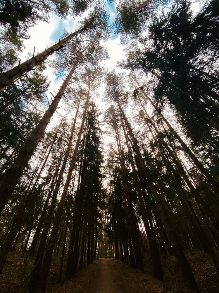 Photograph by Uladzimir Hvozd