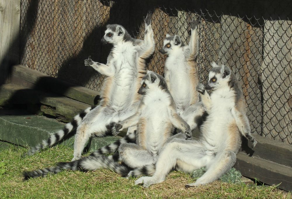 Photograph by Татьяна Сычёва