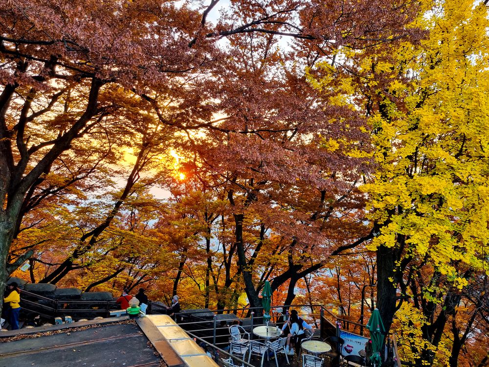 Photograph by Sandra Kominiarz