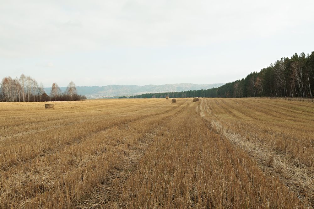 Фотография автора Галина Аверьянова